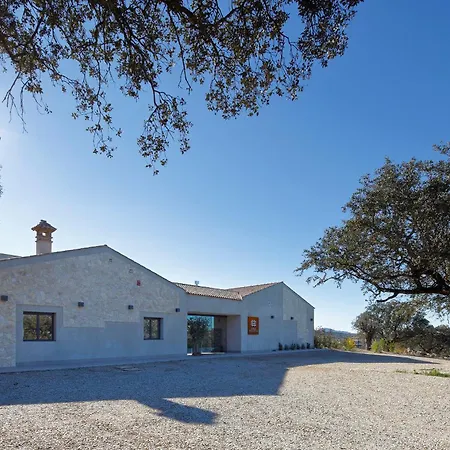 Desconecta2 By Vicoba