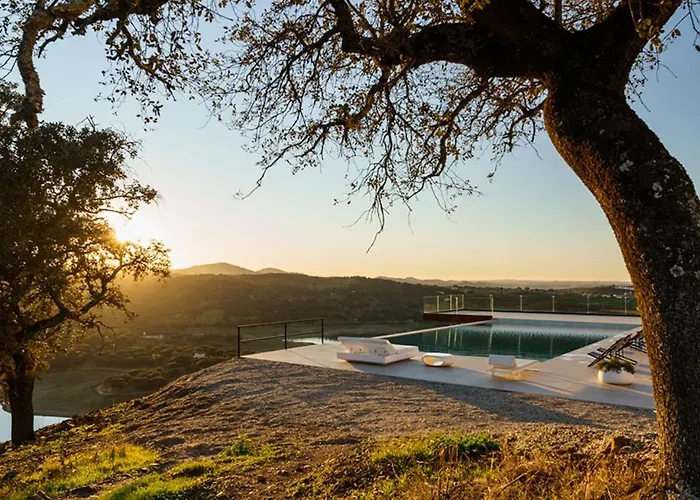 Desconecta2 By Vicoba