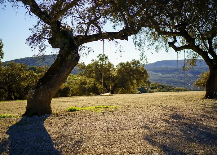 Desconecta2 By Vicoba 5* Монестерио