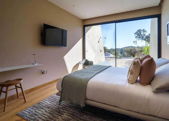 Desconecta2 By Vicoba Otel