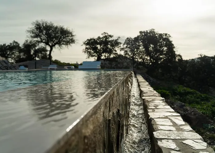 Desconecta2 By Vicoba Монестерио