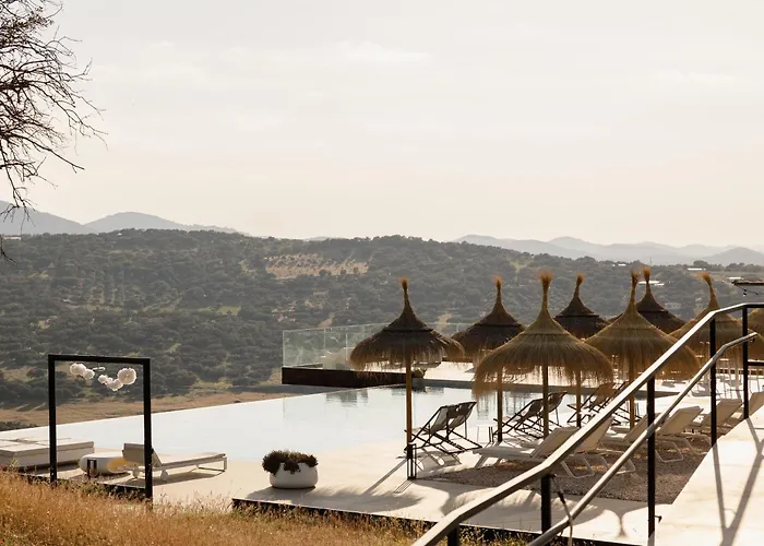 Desconecta2 By Vicoba Otel