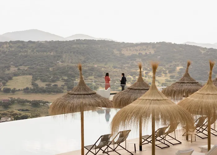 Desconecta2 By Vicoba Монестерио