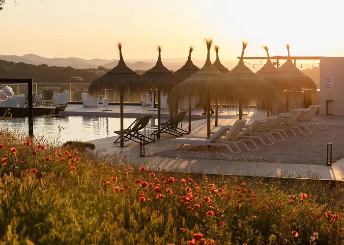 Desconecta2 By Vicoba 5*