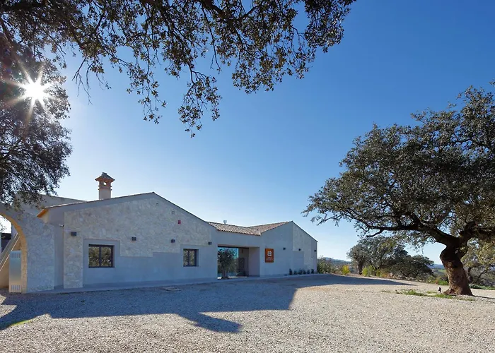 Desconecta2 By Vicoba